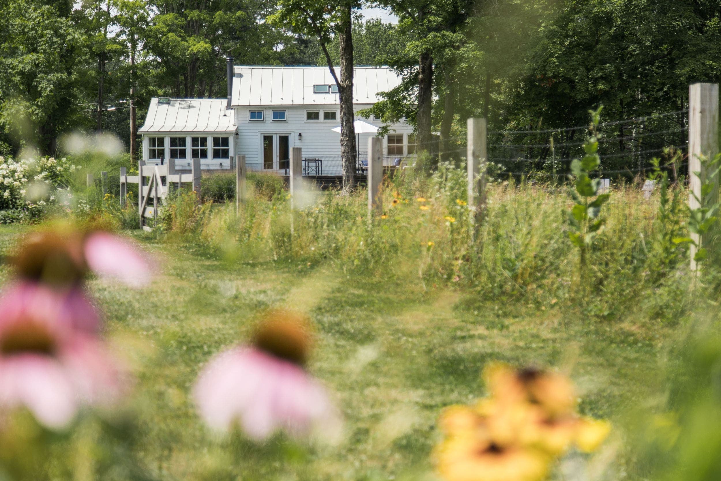 white farmhouse with wildflowers in foreground